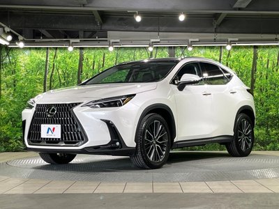 2023 Lexus NX — миниатюра 16