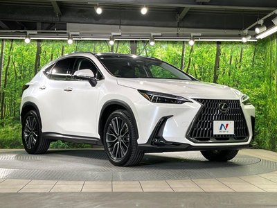 2023 Lexus NX — миниатюра 73