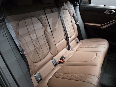 2025 BMW X6 — миниатюра 17