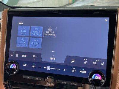 2024 Toyota VELLFIRE photo 9