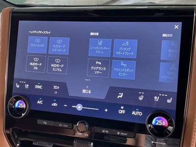 2024 Toyota VELLFIRE photo 8