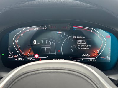 صورة مصغرة 19 لـ 2023 BMW X4