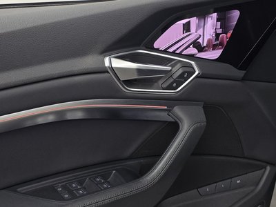 2022 AUDI E-TRON 缩略图 30
