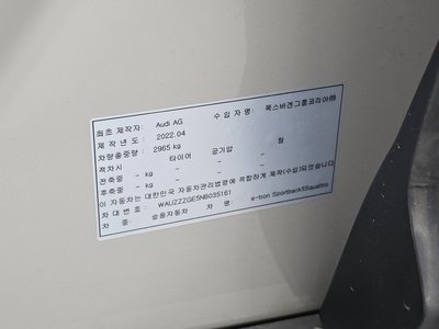 2022 AUDI E-TRON 缩略图 29