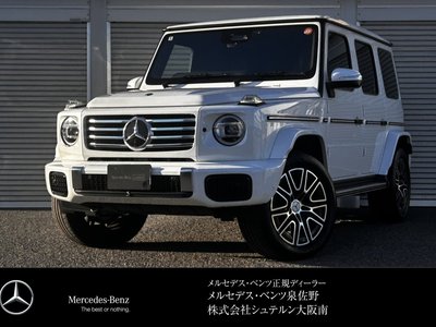 MERCEDES-BENZ G-CLASS - 1