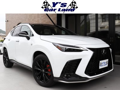 LEXUS NX - 1