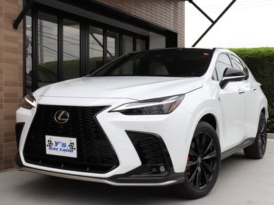 LEXUS NX - 10