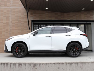 LEXUS NX - 8