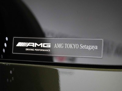 2020 Mercedes-BENZ G-CLASS AMG — миниатюра 17