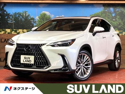 LEXUS NX - 1