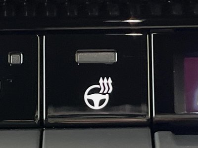 TOYOTA LAND CRUISER 250 - 7