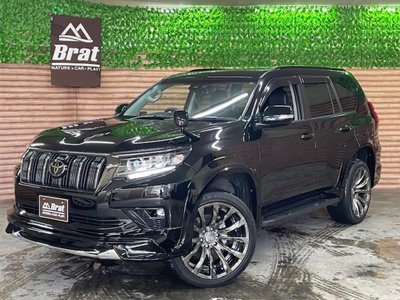 TOYOTA LAND CRUISER PRADO - 1