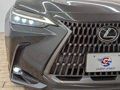 2022 Lexus NX — миниатюра 19