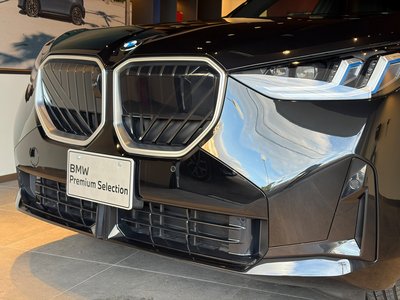 2025 BMW X3 照片 9