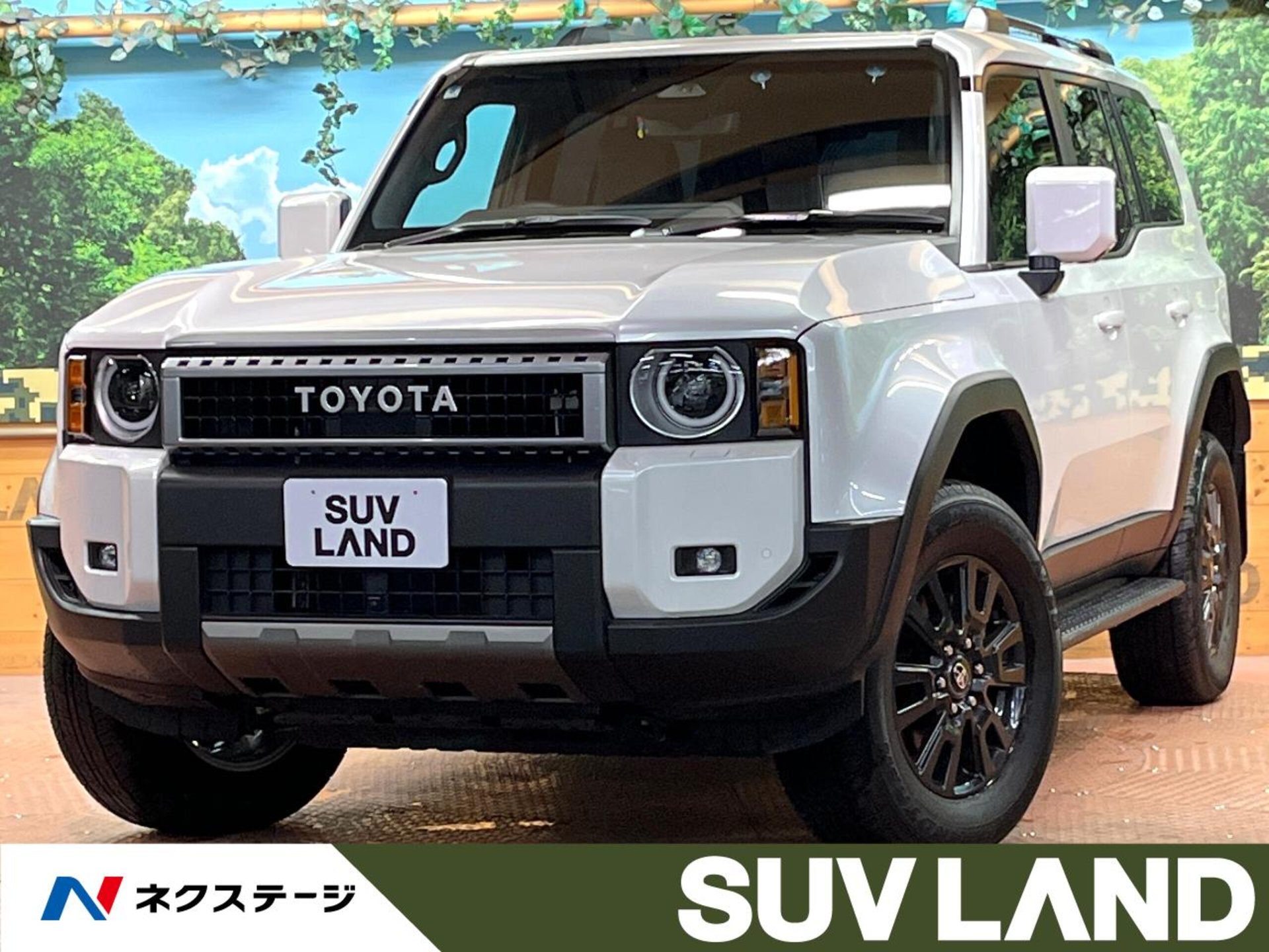 TOYOTA LAND CRUISER 250 - View 1