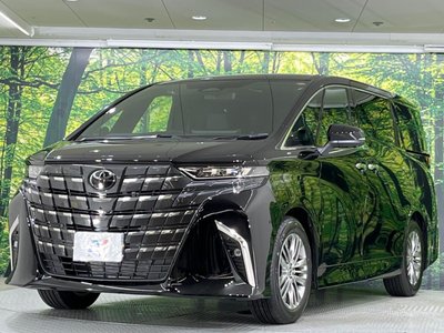 2025 Toyota ALPHARD 缩略图 33