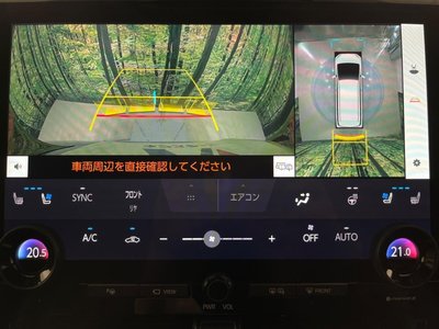 2025 Toyota ALPHARD 缩略图 74