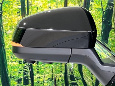 2025 Toyota ALPHARD 缩略图 27