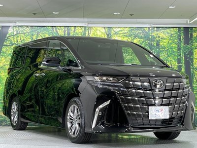 2025 Toyota ALPHARD 缩略图 19