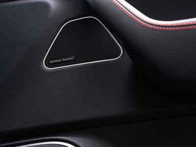 2021 Maserati MASERATI LEVANTE 照片 8
