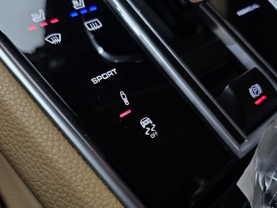 2018 Porsche PANAMERA 缩略图 22