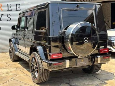 2016 Mercedes-BENZ OTHERS thumbnail 19