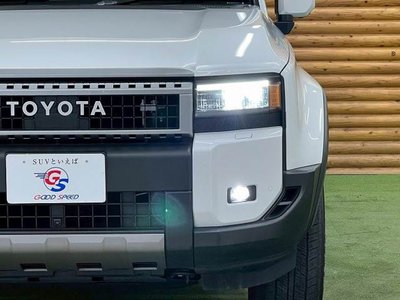 TOYOTA LAND CRUISER 250 - 10