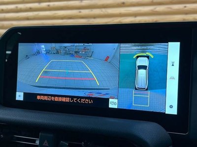 TOYOTA LAND CRUISER 250 - 5