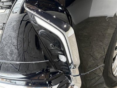 2024 TOYOTA ALPHARD photo 9
