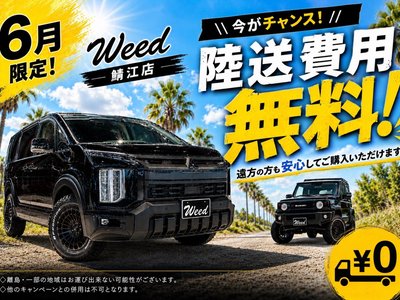 TOYOTA LAND CRUISER PRADO - 4
