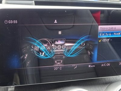 2019 Mercedes-BENZ C-CLASS AMG thumbnail 18