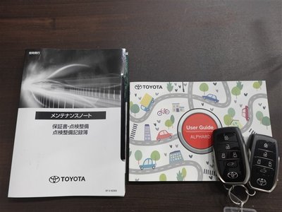 2023 Toyota ALPHARD — миниатюра 40