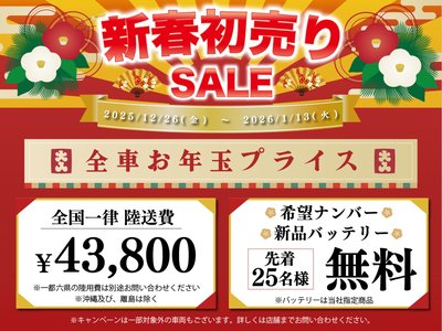 TOYOTA GRAND ACE - 3