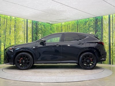 2023 Lexus NX 缩略图 23