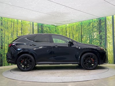 2023 Lexus NX 缩略图 25