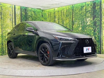 2023 Lexus NX 缩略图 17