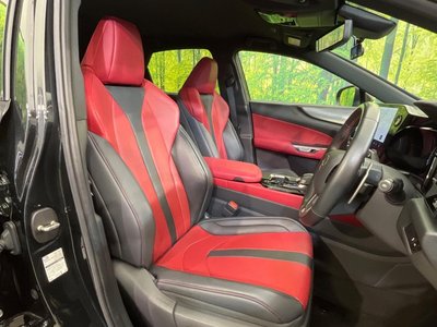 LEXUS NX - 10