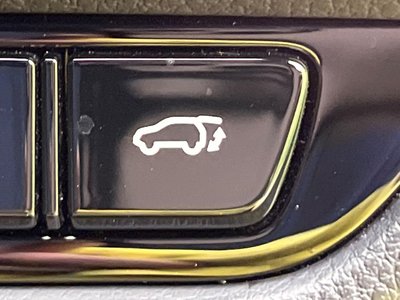 2023 Lexus NX 缩略图 52