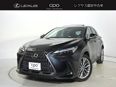 LEXUS NX - 1