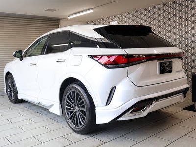 LEXUS RX - 2