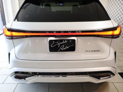 2024 Lexus RX — миниатюра 54