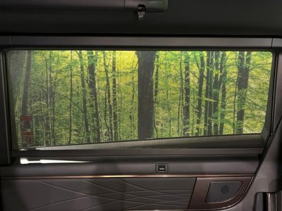 2025 Toyota ALPHARD 缩略图 59