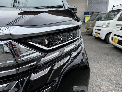 2025 Toyota ALPHARD — фото 7