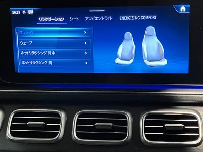 2025 Mercedes-BENZ GLS — миниатюра 19