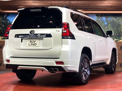 2023 Toyota LAND CRUISER PRADO 缩略图 17