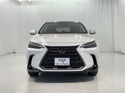 2023 Lexus NX — фото 4