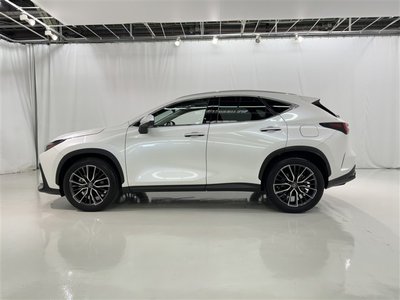 2023 Lexus NX — фото 5