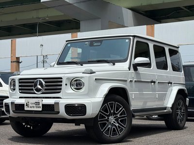 MERCEDES-BENZ G-CLASS - 1