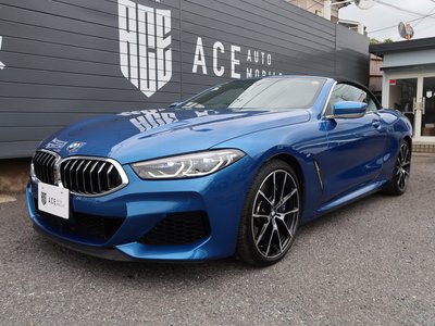 2020 BMW 8 SERIES CABRIOLET 缩略图 20