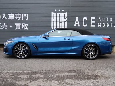 2020 BMW 8 SERIES CABRIOLET 缩略图 18